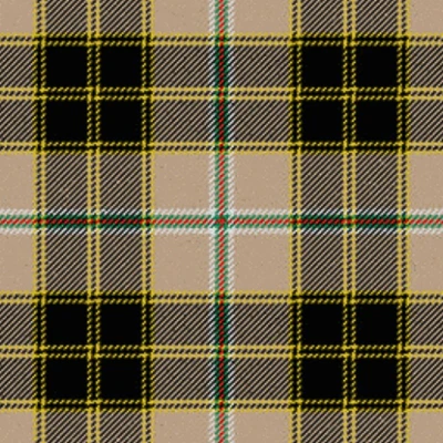Spotsylvania-County-Sheriff_s-Office-Tartan Spotsylvania County Sheriff's Office Tartan