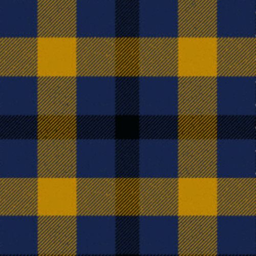 KazakhstanRelicTartan Kazakhstan Relic Tartan