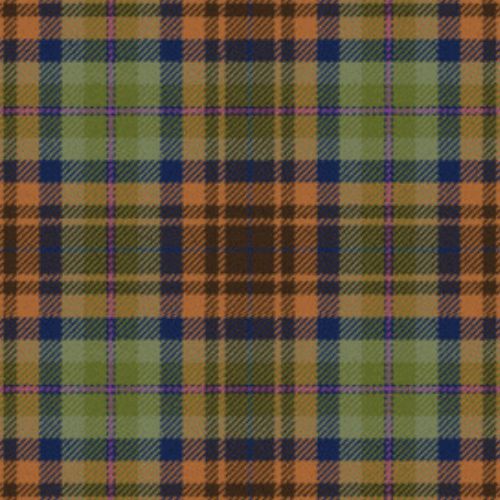 Holland_friendshipTartan Holland Friendship Tartan