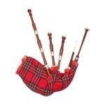 natural finish plain rosewood bagpipe