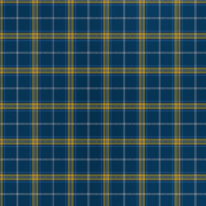 Fife Flyers Premium Tartan