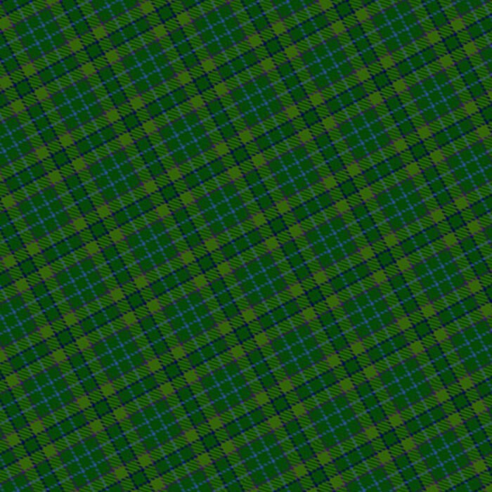 Loch Wood Tartan