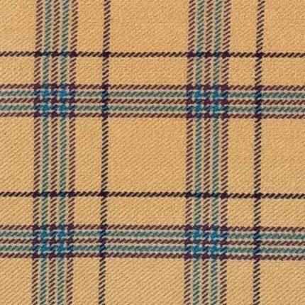 Houston Tartan