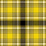 Suevia Heidelburg Corps Tartan