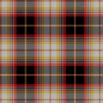 Puffin Atlantic Tartan