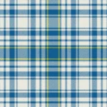 Spirit of Yorkshire Tartan