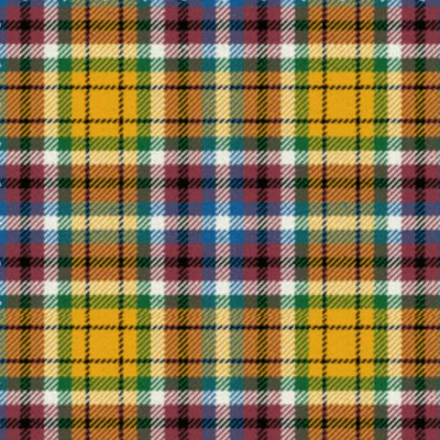 Williams Lake City Ancient Tartan