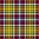 Williams Lake City Tartan