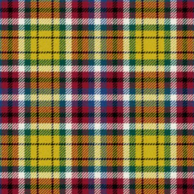 Williams Lake City Tartan
