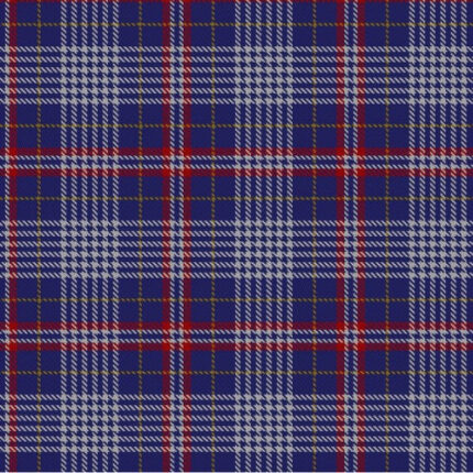 Parker Dress USA Tartan
