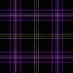 Payne of Wallins Creek Tartan