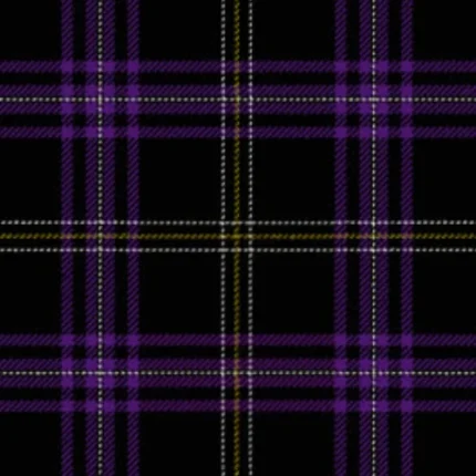Payne of Wallins Creek Tartan