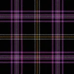 Payne of Wallins Creek Ancient Tartan