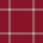 Piper Rowdy' Roddy Tartan