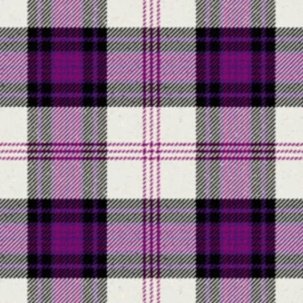 Ross Dress Purple Tartan