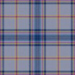 Scottish Foundation VA Highlands Tartan