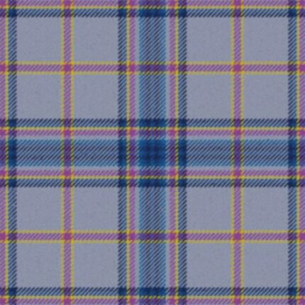 Scottish Foundation VA Highlands Tartan