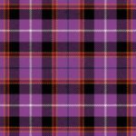 Selkirk High School Tartan
