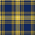 UNC Greensboro Tartan
