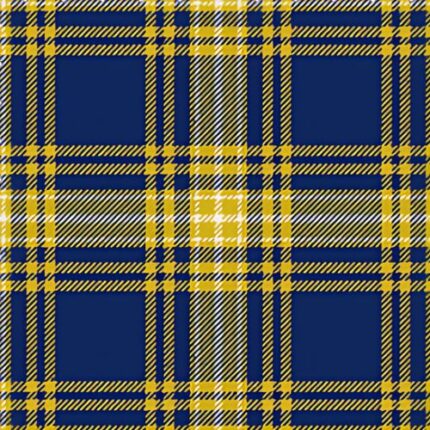 UNC Greensboro Tartan