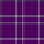 Wallace High School Tartan