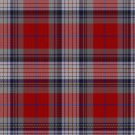 Warden Tartan