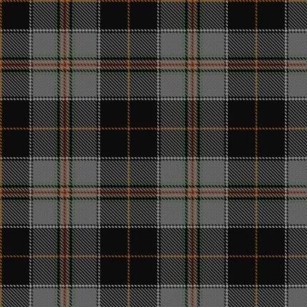 Welsh Assembly Ancient Tartan