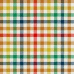 Rainbow Fort Worth Tartan