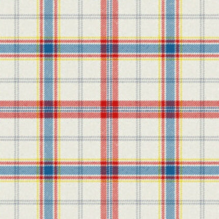 American Confederate Memorial Dress Tartan
