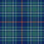 Amirali Bakirali Nasir Tartan