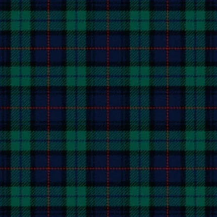 Atlanta Metropolitan Police Tartan