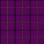 Carolina Western University Tartan