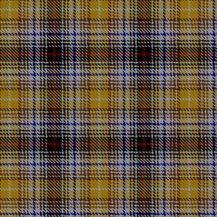 Clanedin Commemorative Tartan