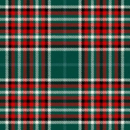 Gayre Bodyguard Tartan