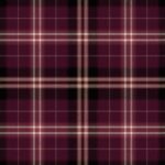 National Archives Tartan
