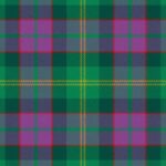 New Mexico Land of Enchantment Tartan
