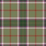 New Forest Ancient Tartan