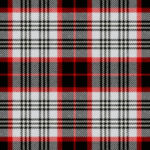 Edinburgh City Tartan