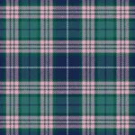 Elwyn Glen (Scottish Borders) Tartan