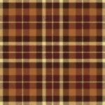 Highland Village Tartan