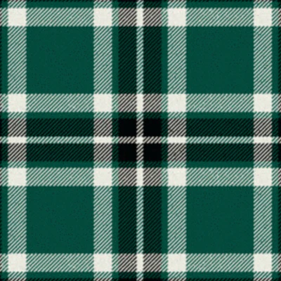 Loch Rannoch Tartan