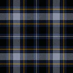 MacFly School Tartan