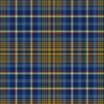 De Baseggio (Golden Bones) Tartan