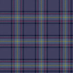 Blue Toon Tartan