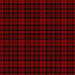 Border Reiver Tartan