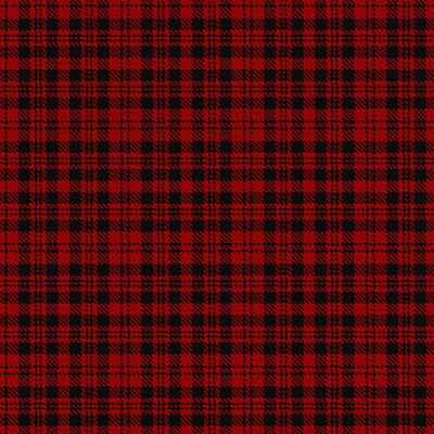 Border Reiver Tartan