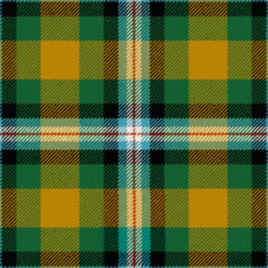 Ball Hunting Ancient Tartan